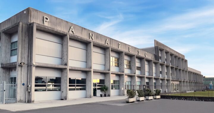 Panapesca, leader del surgelato ittico, chiude il 2024 a 148 milioni e rafforza la crescita internazionale